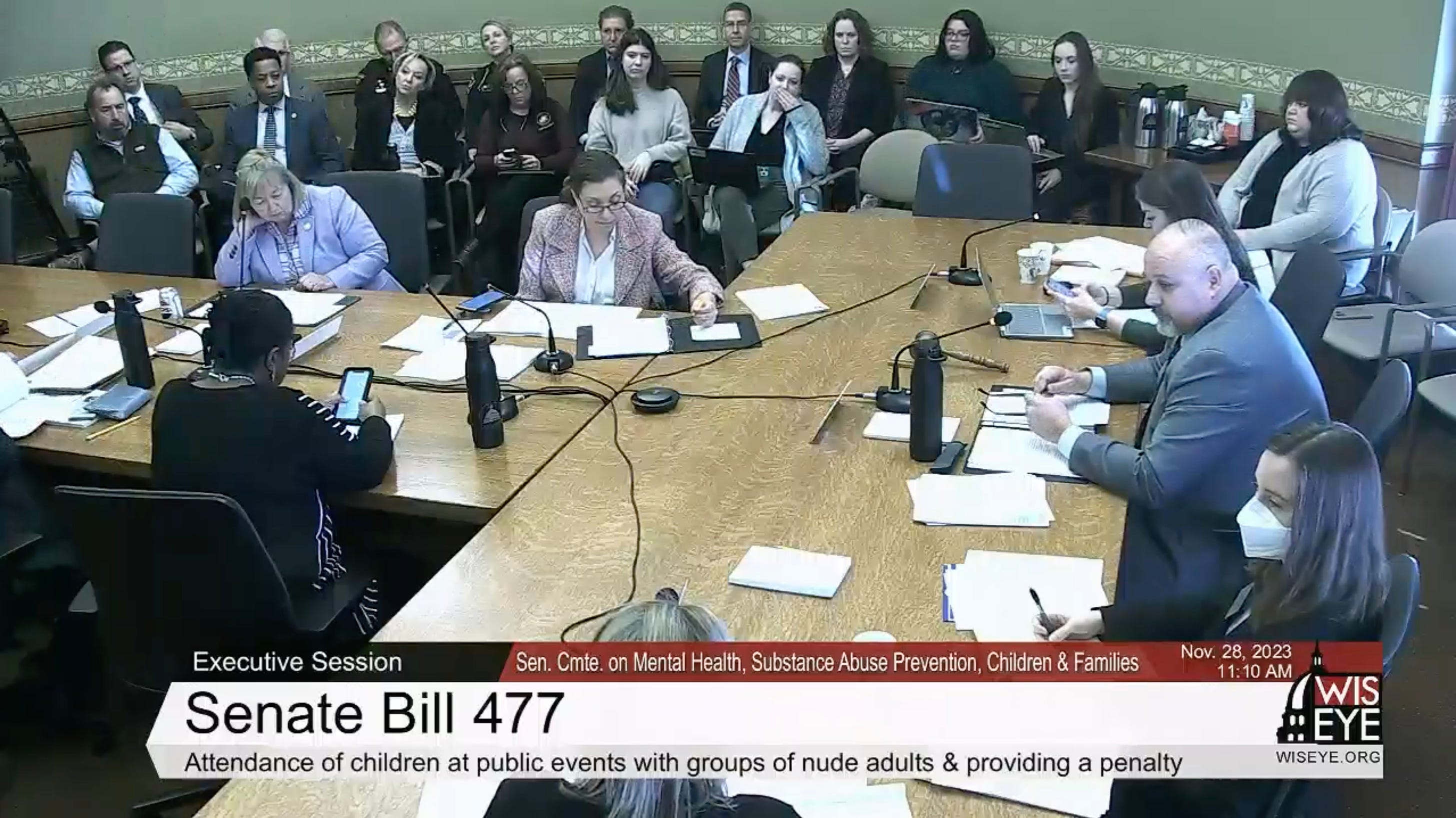  Wisconsin Senate Committee takes its turn advancing anti-nudity legislation